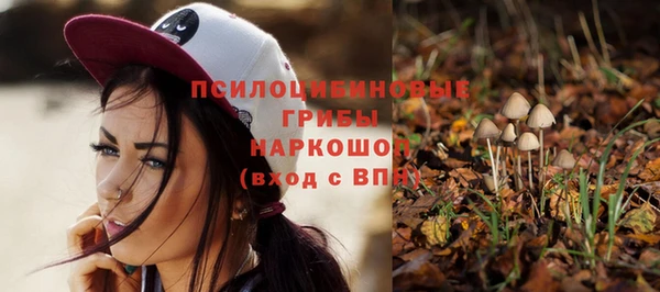 эйфоретик Абинск